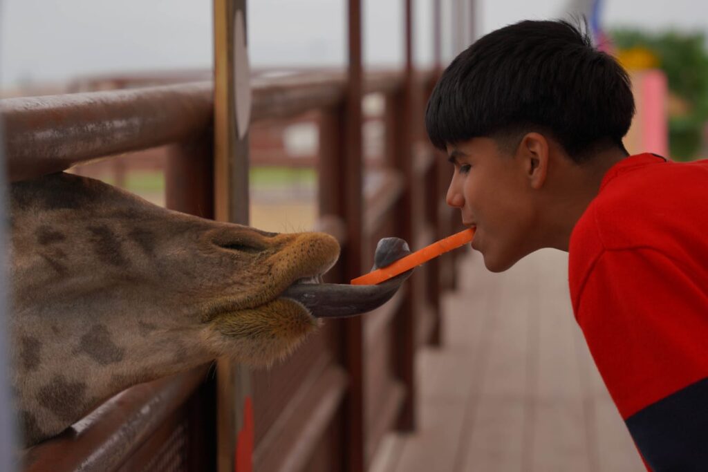 Disfrutan familias festejo de San Valentín en el Zoológico de Nuevo Laredo