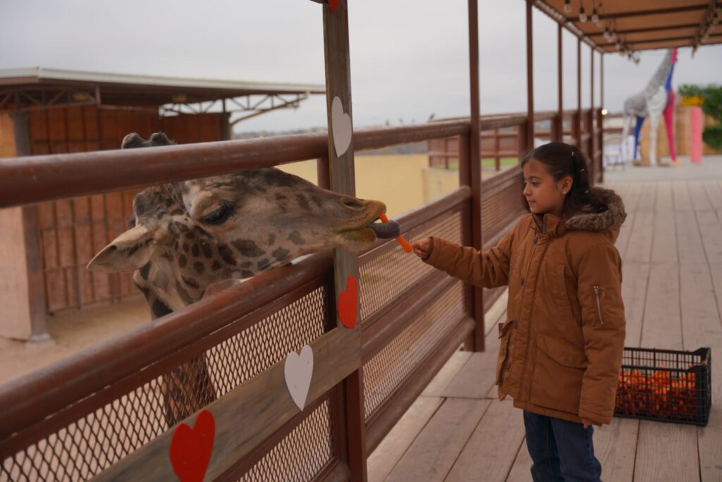 Disfrutan familias festejo de San Valentín en el Zoológico de Nuevo Laredo