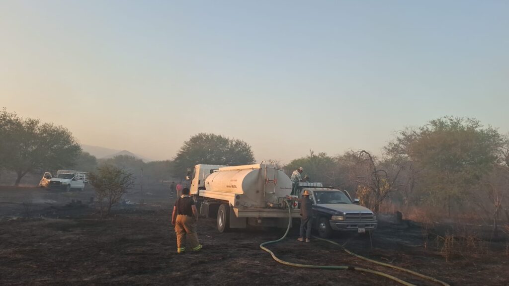Incendios forestales afectan a varios municipios de Tamaulipas