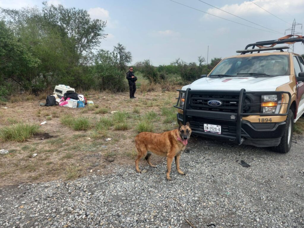 Autom贸vil vuelca en la Victoria-Monterrey; conductor y su mascota salen ilesos