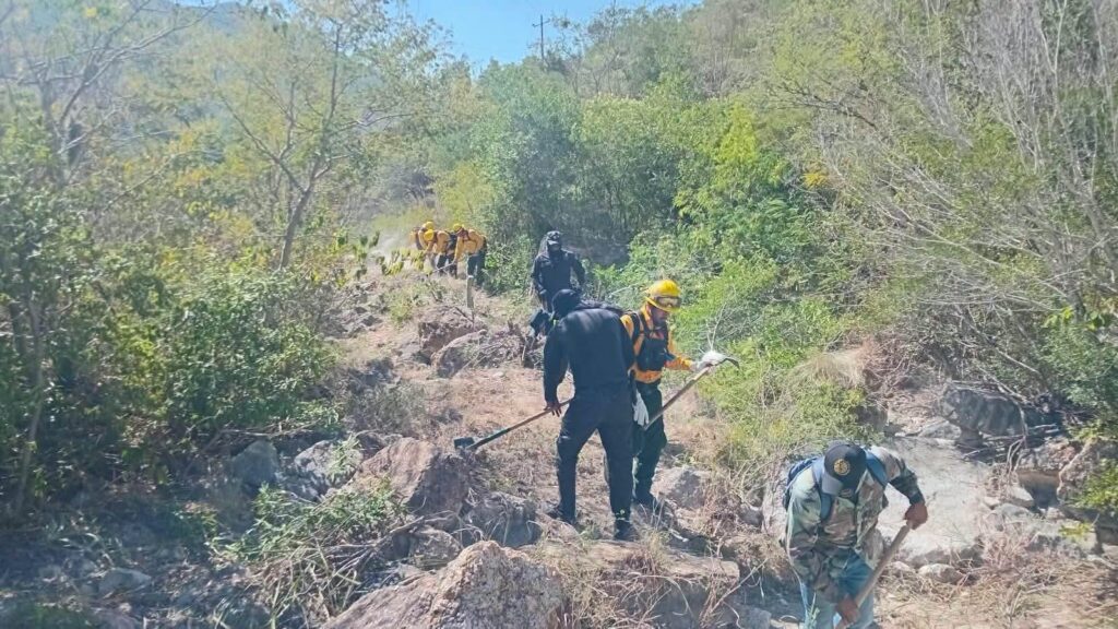 Combaten incendio forestal en la Sierra de San Carlos