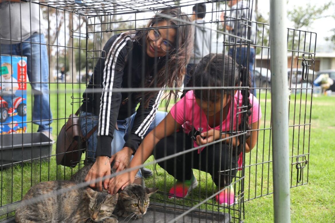 Realizará Gobierno de Nuevo Laredo Feria de Adopción Canina y Felina