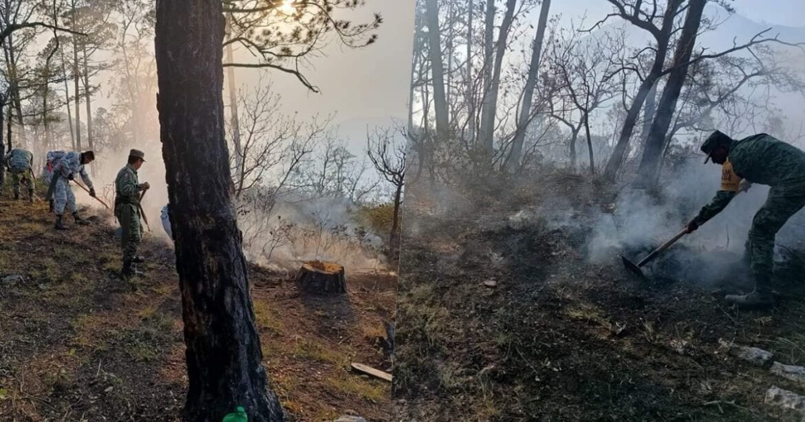 Van 30 hectáreas consumidas por incendio forestal en sierra de Miquihuana