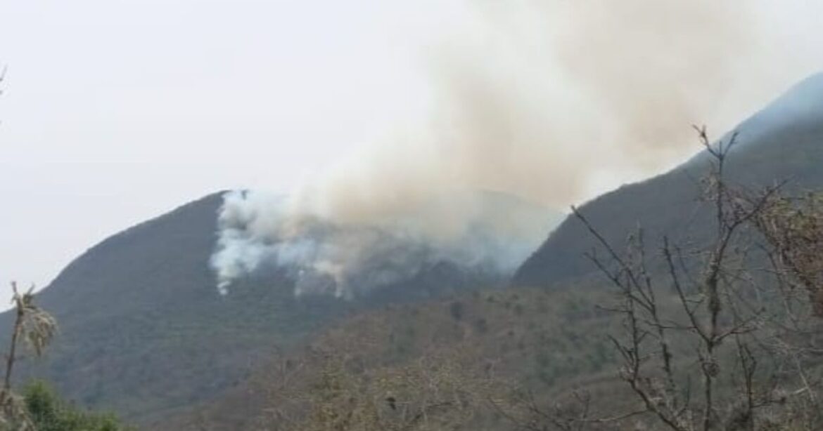 Tamaulipas enfrenta su octavo incendio forestal