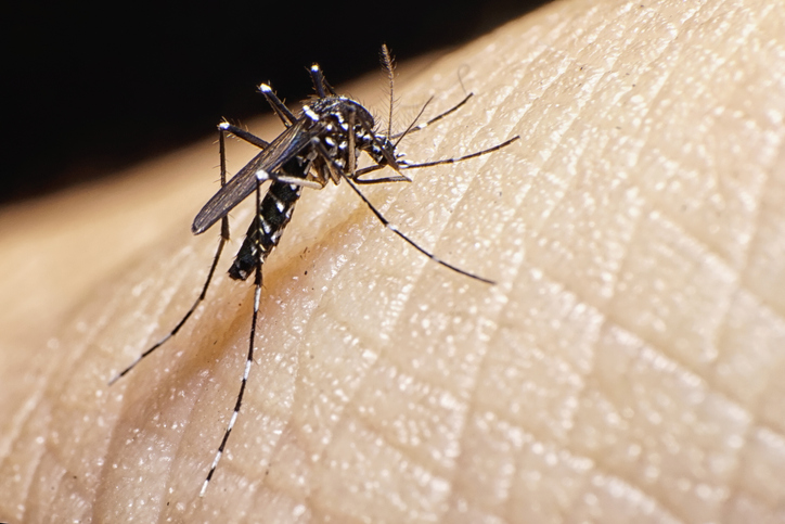 Personal de Vectores de Victoria enfrenta al dengue sin herramientas adecuadas