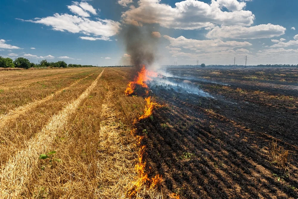 Advierten sobre peligro de quemas agrícolas en Tamaulipas