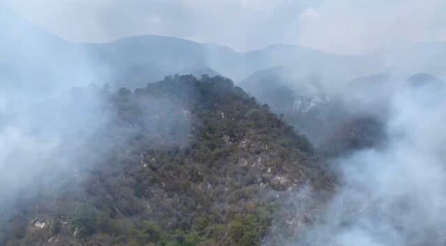 Brigadistas de varios estados unen esfuerzos contra incendio en Cañón del Novillo