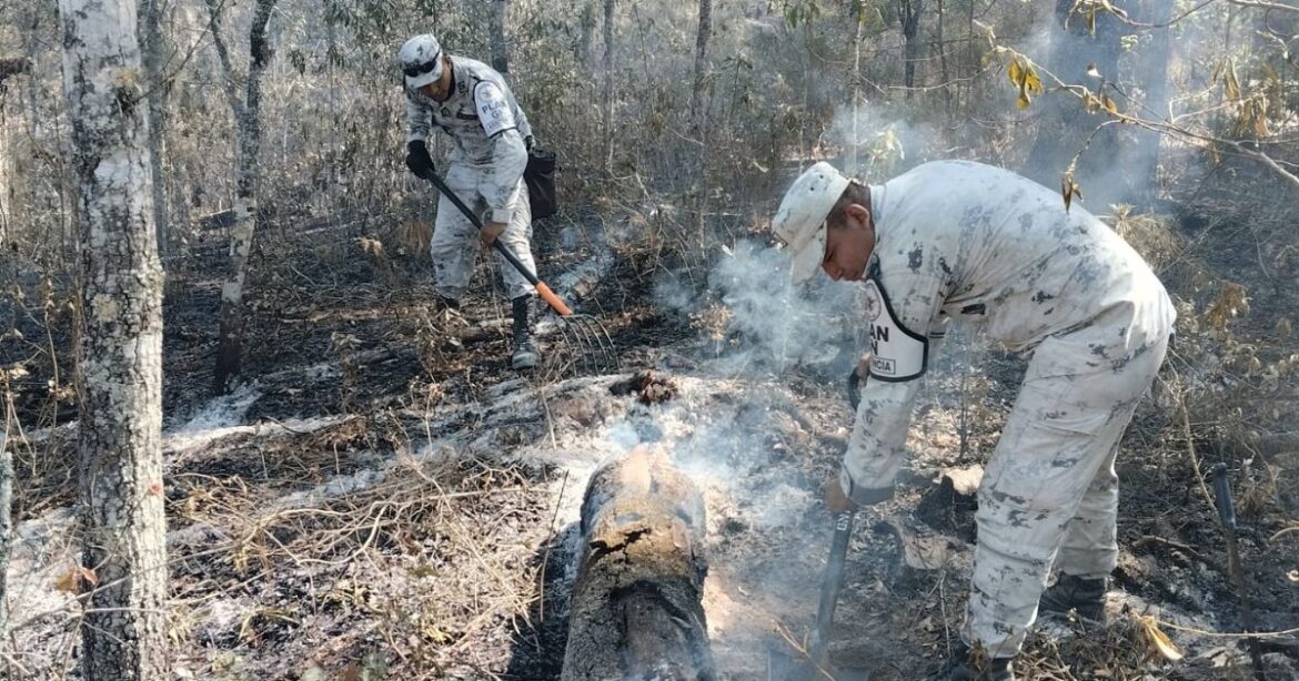 Despliegan Plan DN-III-E y Plan GN-A para enfrentar incendios forestales en Tamaulipas