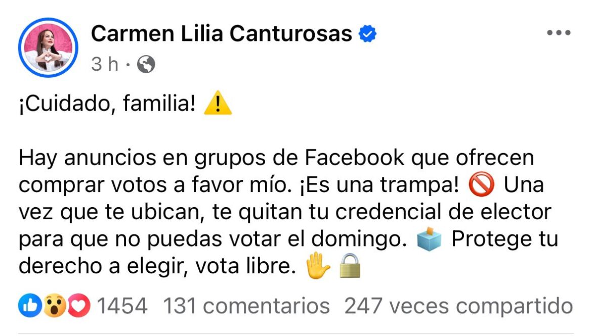 Alerta Carmen Lilia Canturosas por robo de credenciales de elector a través de Facebook