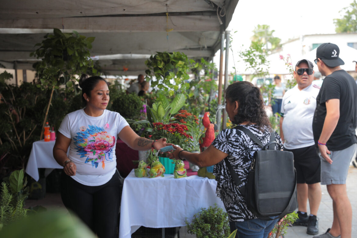 Apoya Gobierno de Nuevo Laredo comerciantes locales con expo “Tu Jardín y Artesanías”