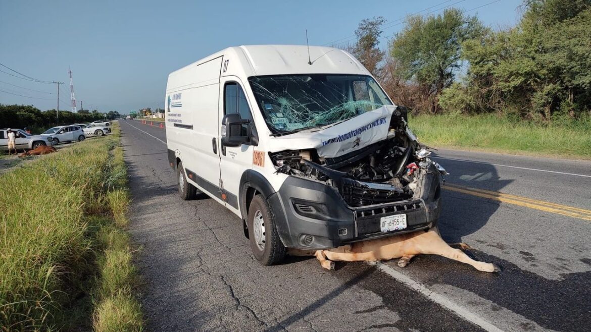 Aparatoso accidente en la carretera Victoria-Monterrey deja un lesionado