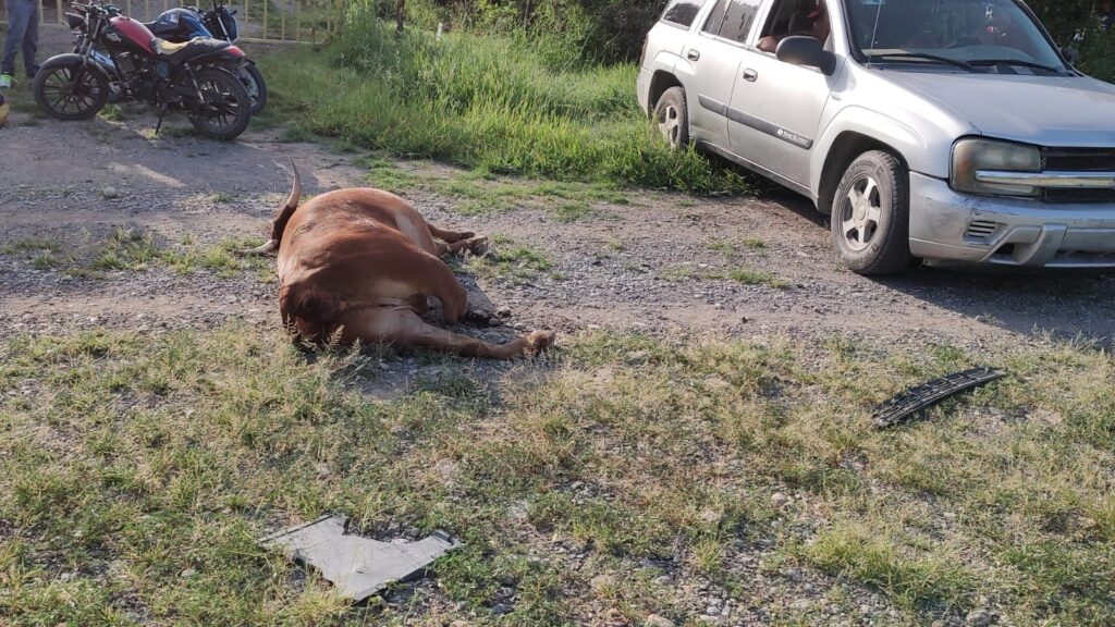 Aparatoso accidente en la carretera Victoria-Monterrey deja un lesionado