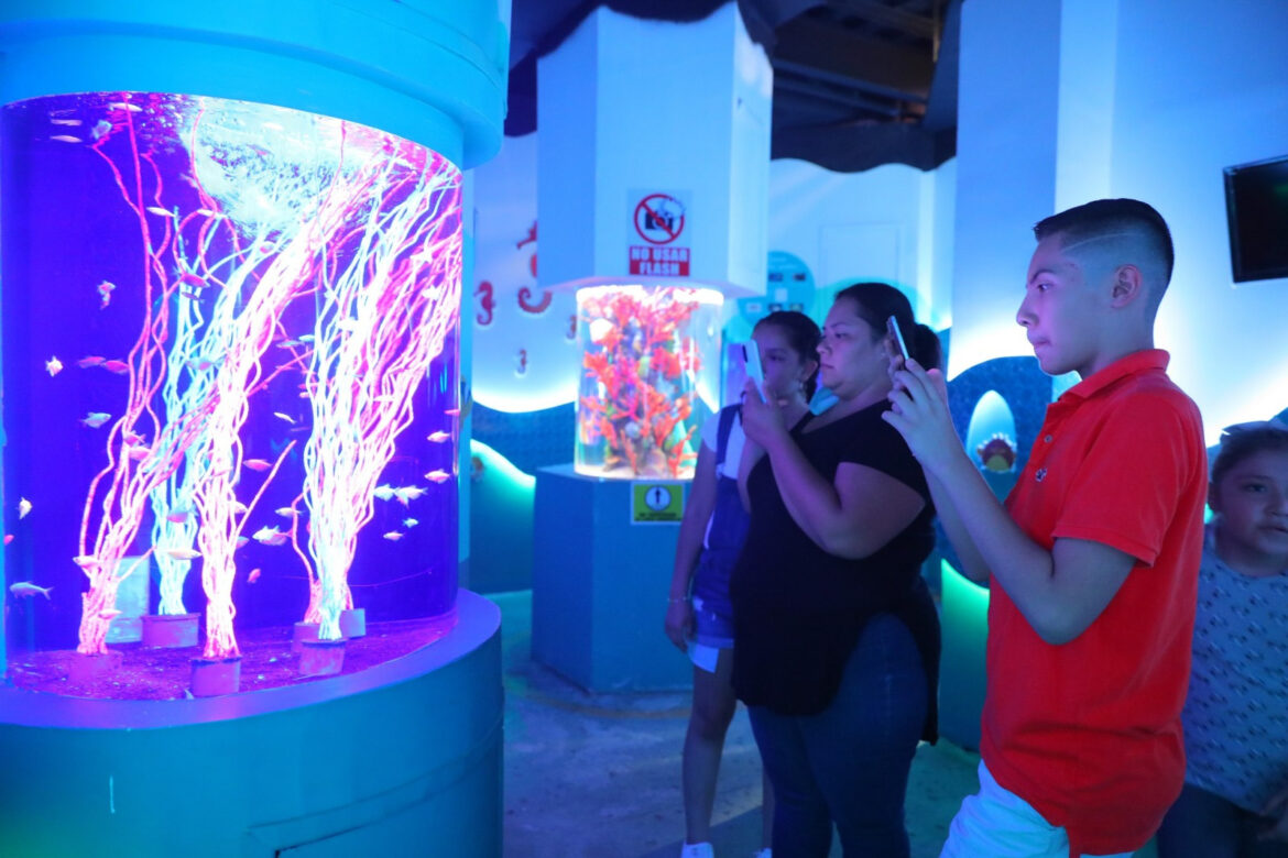 Invitan a ciudadanos a descubrir el Acuario de Nuevo Laredo en vacaciones; Exhortan a respetar el reglamento por el bien de las especies