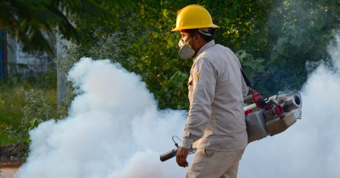 Aumentan en un 70% los casos de dengue en Tamaulipas