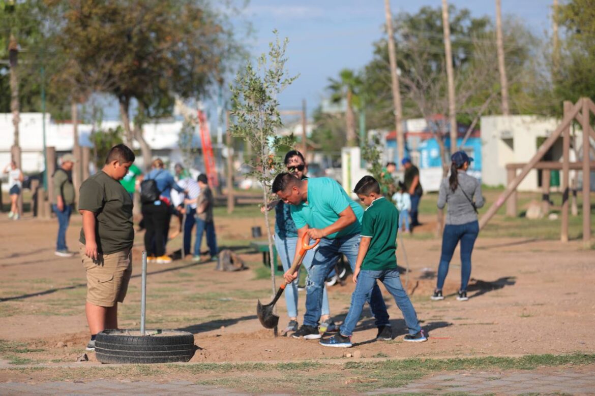 Reforestan espacios públicos de Nuevo Laredo con programa municipal “Sembrando Vida”