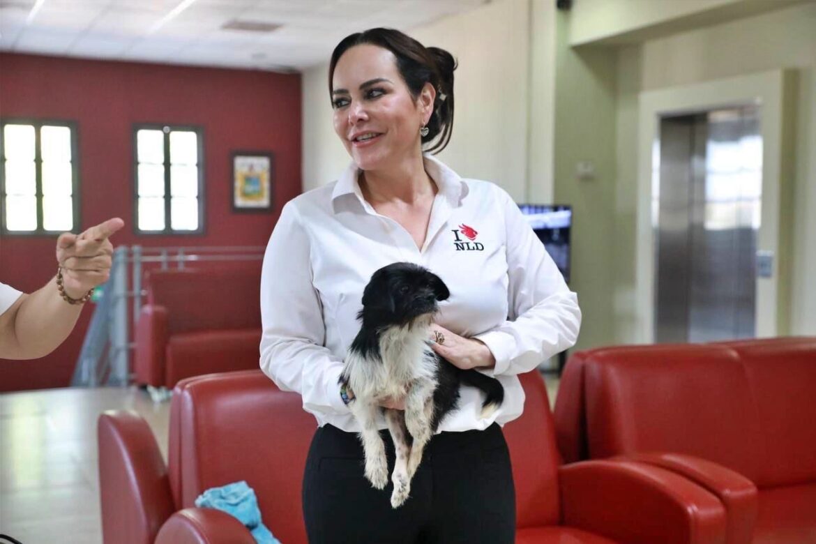 Reafirma alcaldesa Carmen Lilia Canturosas compromiso con bienestar animal; Gobierno Municipal crea Dirección de Bienestar Animal