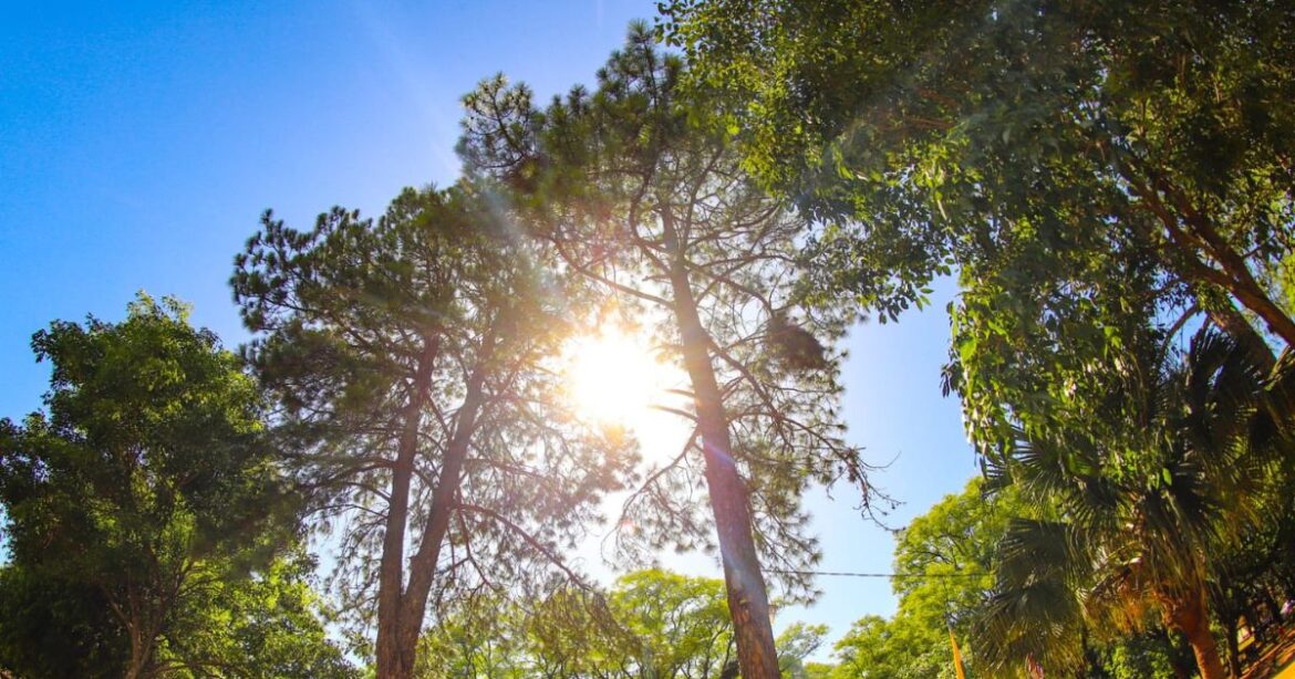 Frío cede en Tamaulipas: se espera un viernes mayormente soleado