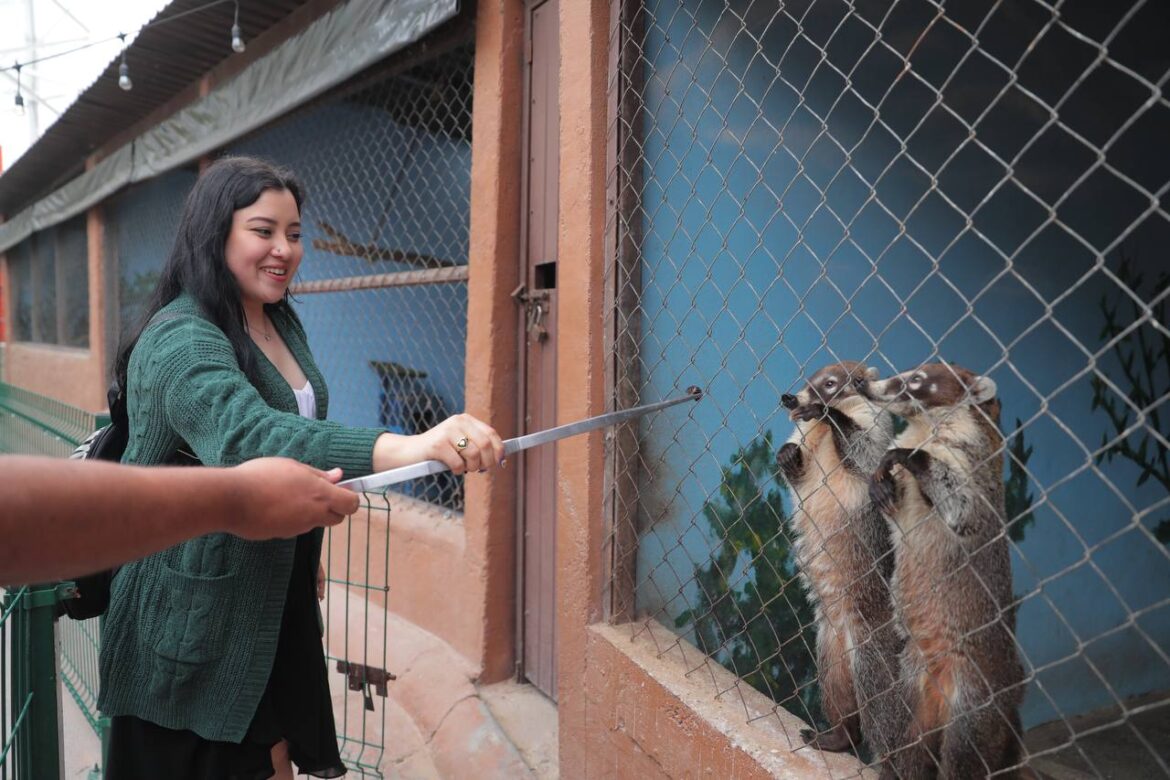 Anuncia Zoológico de Nuevo Laredo “amorosas actividades” para este 14 de febrero