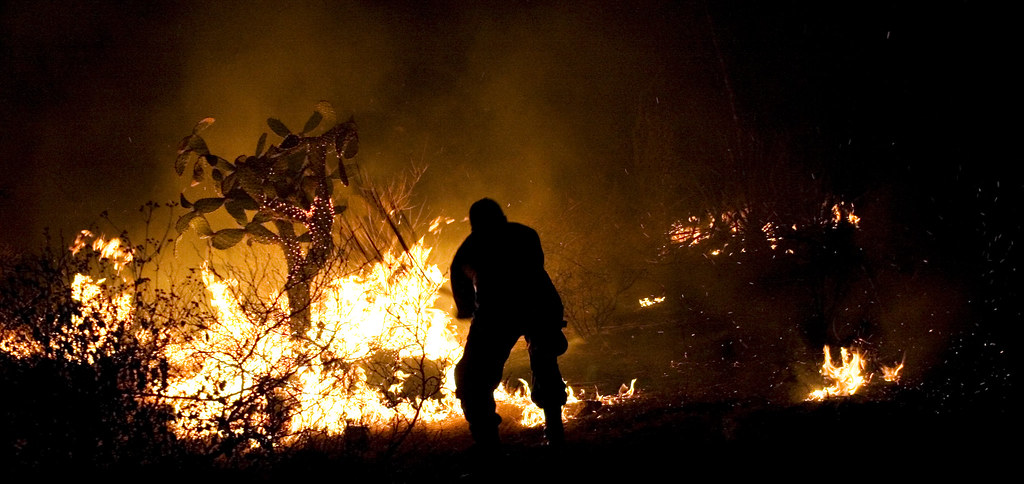 Incendios en Ciudad Victoria son provocados por pastizales, no por quema de basura