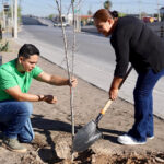 Intensifica Gobierno de Nuevo Laredo campaña de reforestación