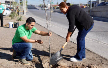 Intensifica Gobierno de Nuevo Laredo campaña de reforestación