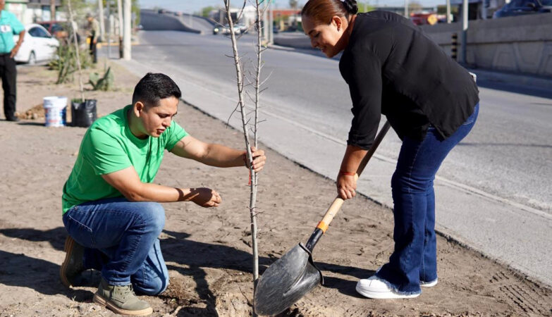 Intensifica Gobierno de Nuevo Laredo campaña de reforestación