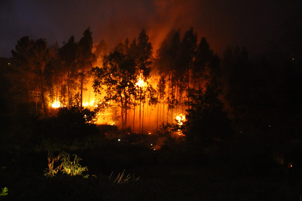 Buscan endurecer penas contra quienes provoquen incendios en Tamaulipas