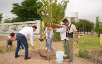 Reforestan espacios públicos y escuelas en Nuevo Laredo