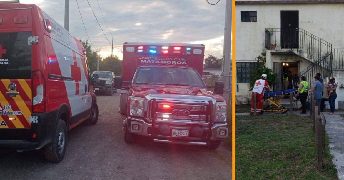 Enjambre de abejas deja 27 lesionados en Casa Hogar de Matamoros