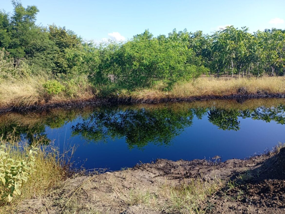 Fuga de hidrocarburo contamina lagunas en Altamira y causa alarma