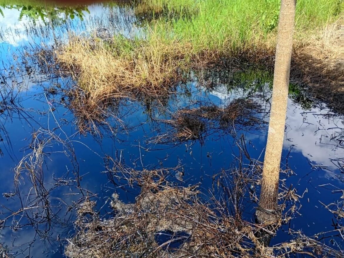 Pemex no ubica fuga de crudo que contamina presas en Altamira