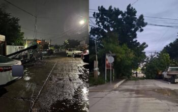 Ráfagas del Frente Frío 11 derriban árboles en Ciudad Victoria