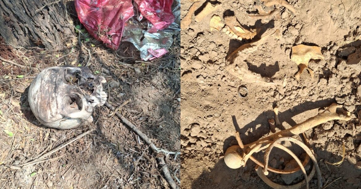 Hallan fosas clandestinas con restos humanos en Reynosa