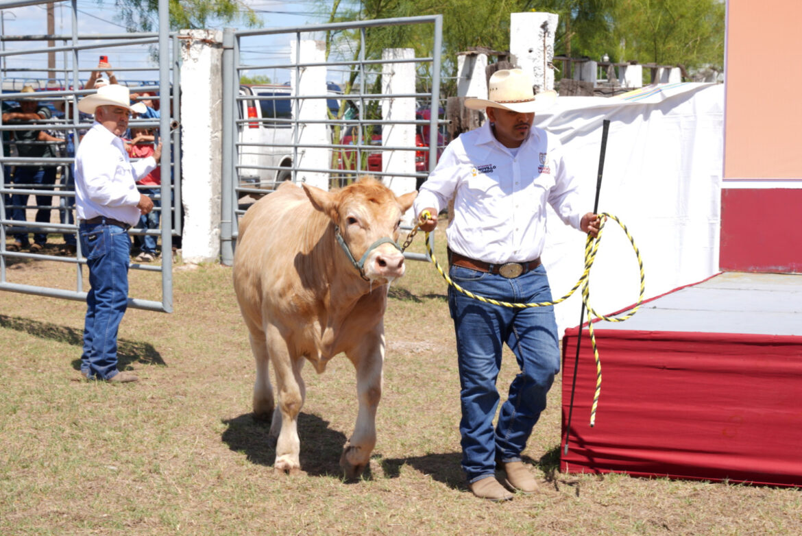 Abre Gobierno de Nuevo Laredo convocatoria para programa de mejoramiento ganadero