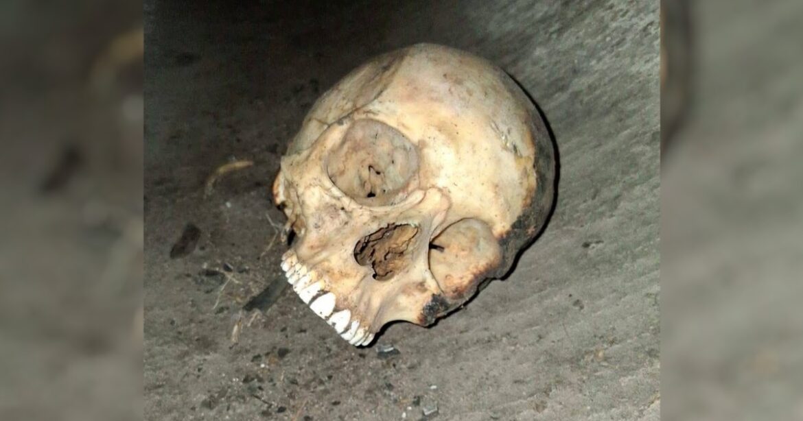 Encuentran restos humanos en zona cercana al Puente Pharr, en Reynosa