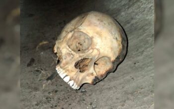 Encuentran restos humanos en zona cercana al Puente Pharr, en Reynosa