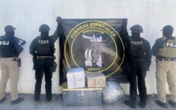 Aseguran droga y vehículo tras operativo en Ciudad Victoria