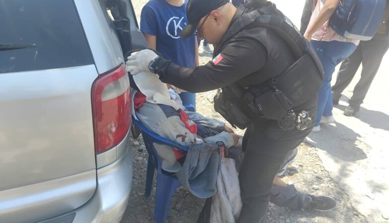 Motociclista resulta herido tras accidente en Xicoténcatl