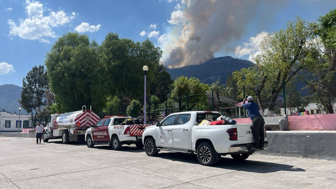 Combaten incendio forestal en Miquihuana; afecta 69 hectáreas