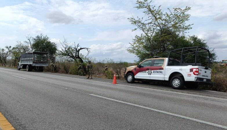 Localizan dos tomas clandestinas en ductos de Pemex en Altamira