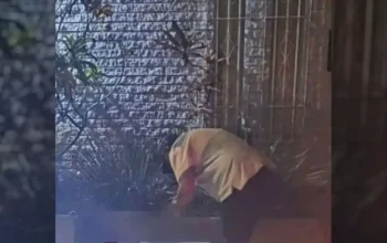 Muere hombre tras lesionarse al intentar entrar a vivienda en Madero