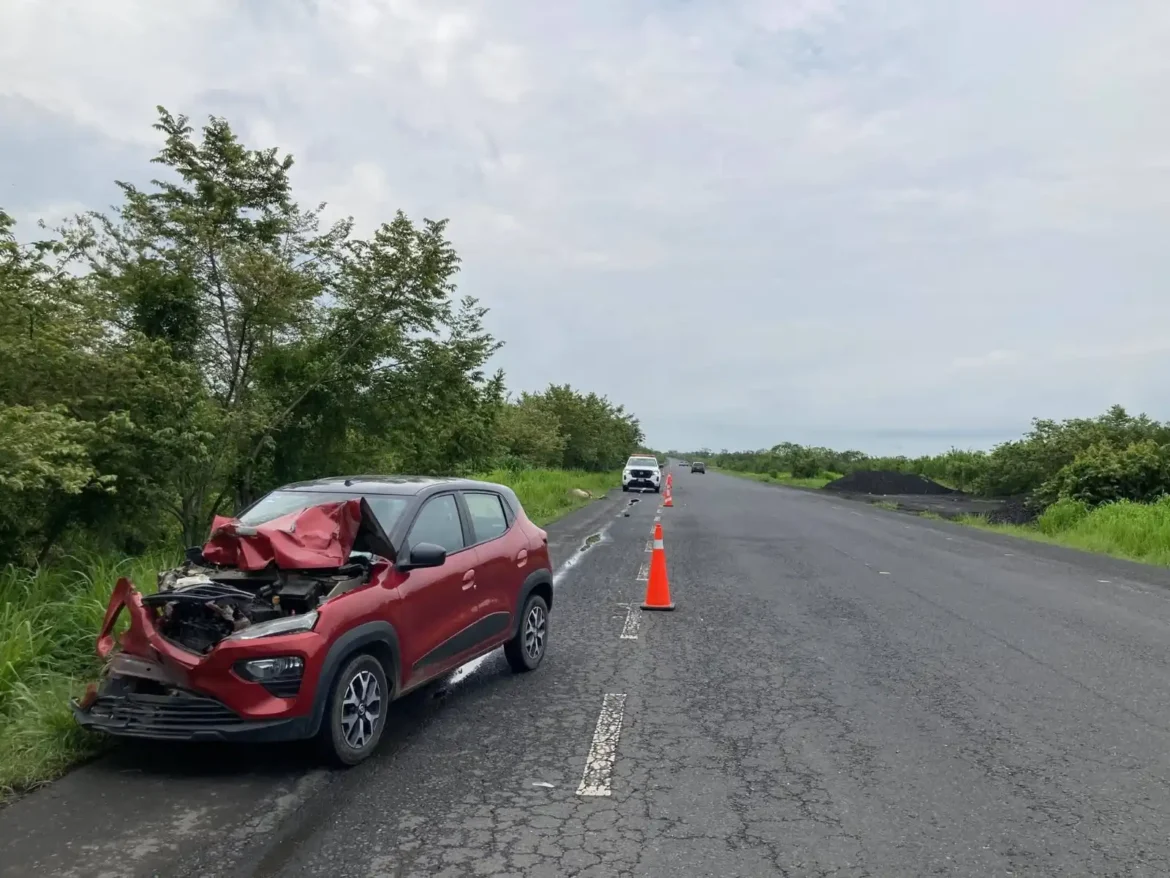 Influencer resulta herida tras chocar contra vaca en autopista