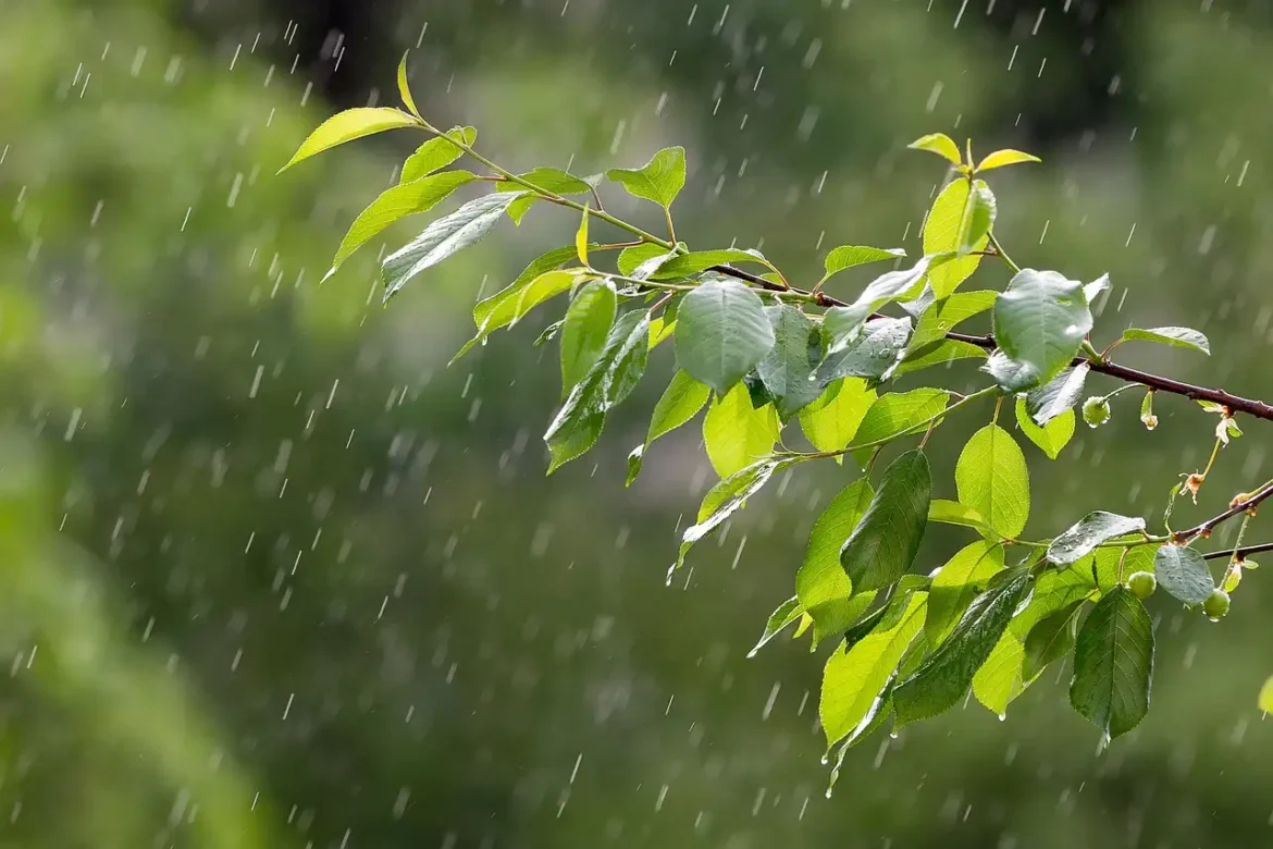 Lluvias y tormentas marcarán el clima en Tamaulipas este jueves