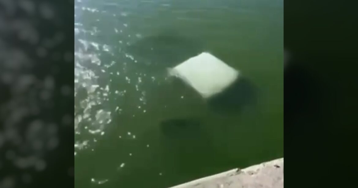 Mueren cuatro elementos de Marina en accidente en La Pesca