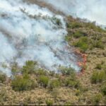 Combaten incendio forestal en la Sierra de San Carlos