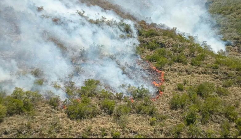 Combaten incendio forestal en la Sierra de San Carlos