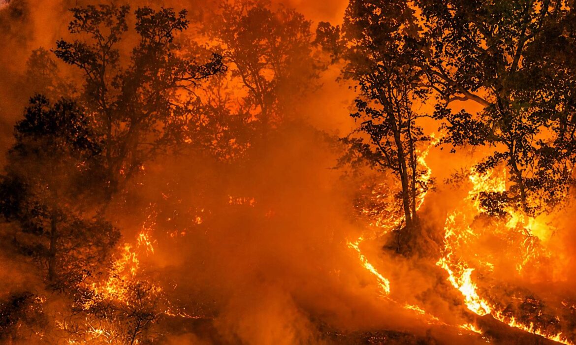 Prevén calor extremo y mayor riesgo de incendios en Tamaulipas para 2027