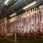 Tamaulipas prepara marca propia de carne para 2027
