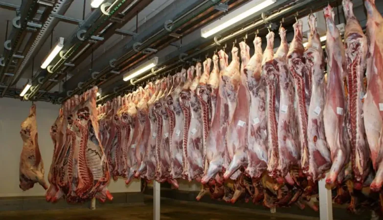 Tamaulipas prepara marca propia de carne para 2027