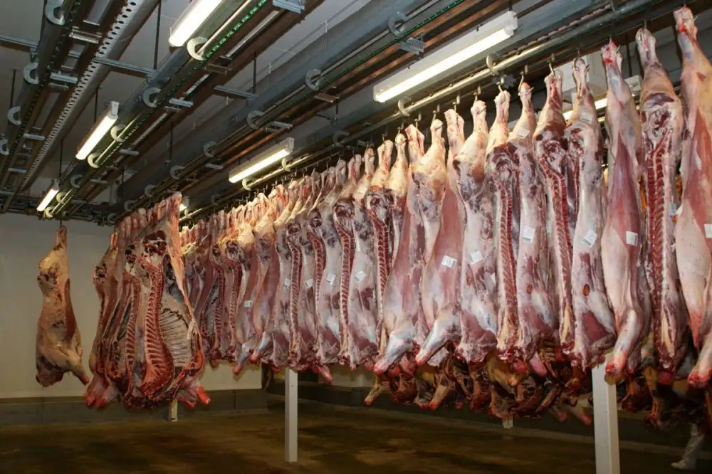 Tamaulipas prepara marca propia de carne para 2027